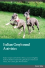 Image for Italian Greyhound Activities Italian Greyhound Activities (Tricks, Games &amp; Agility) Includes : Italian Greyhound Agility, Easy to Advanced Tricks, Fun Games, plus New Content