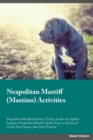 Image for Neapolitan Mastiff Mastino Activities Neapolitan Mastiff Activities (Tricks, Games &amp; Agility) Includes