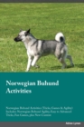 Image for Norwegian Buhund Activities Norwegian Buhund Activities (Tricks, Games &amp; Agility) Includes