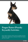 Image for Prague Ratter Prazsky Krysarik Activities Prague Ratter Activities (Tricks, Games &amp; Agility) Includes