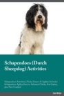 Image for Schapendoes Dutch Sheepdog Activities Schapendoes Activities (Tricks, Games &amp; Agility) Includes : Schapendoes Agility, Easy to Advanced Tricks, Fun Games, plus New Content