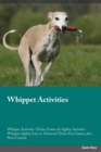 Image for Whippet Activities Whippet Activities (Tricks, Games &amp; Agility) Includes : Whippet Agility, Easy to Advanced Tricks, Fun Games, plus New Content