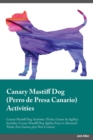 Image for Canary Mastiff Dog Perro de Presa Canario Activities Canary Mastiff Dog Activities (Tricks, Games &amp; Agility) Includes