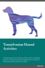 Image for Transylvanian Hound Activities Transylvanian Hound Activities (Tricks, Games &amp; Agility) Includes