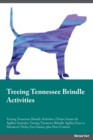 Image for Treeing Tennessee Brindle Activities Treeing Tennessee Brindle Activities (Tricks, Games &amp; Agility) Includes