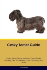 Image for Cesky Terrier Guide Cesky Terrier Guide Includes : Cesky Terrier Training, Diet, Socializing, Care, Grooming, Breeding and More