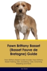 Image for Fawn Brittany Basset (Basset Fauve de Bretagne) Guide Fawn Brittany Basset Guide Includes