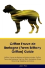 Image for Griffon Fauve de Bretagne (Fawn Brittany Griffon) Guide Griffon Fauve de Bretagne Guide Includes : Griffon Fauve de Bretagne Training, Diet, Socializing, Care, Grooming, Breeding and More