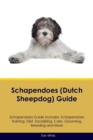 Image for Schapendoes (Dutch Sheepdog) Guide Schapendoes Guide Includes