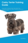 Image for Cesky Terrier Training Guide Cesky Terrier Training Includes