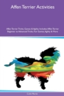 Image for Affen Terrier Activities Affen Terrier Tricks, Games &amp; Agility Includes