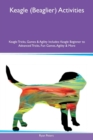 Image for Keagle (Beaglier) Activities Keagle Tricks, Games &amp; Agility Includes : Keagle Beginner to Advanced Tricks, Fun Games, Agility &amp; More