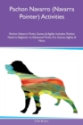 Image for Pachon Navarro (Navarra Pointer) Activities Pachon Navarro Tricks, Games &amp; Agility Includes