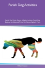 Image for Pariah Dog Activities Pariah Dog Tricks, Games &amp; Agility Includes