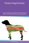 Image for Poitevin Dog Activities Poitevin Dog Tricks, Games &amp; Agility Includes