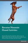 Image for Bavarian Mountain Hound Activities Bavarian Mountain Hound Activities (Tricks, Games &amp; Agility) Includes : Bavarian Mountain Hound Agility, Easy to Advanced Tricks, Fun Games, plus New Content