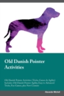Image for Old Danish Pointer Activities Old Danish Pointer Activities (Tricks, Games &amp; Agility) Includes