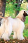 Image for Afghan Hound May Notebook Afghan Hound Record, Log, Diary, Special Memories, To Do List, Academic Notepad, Scrapbook &amp; More
