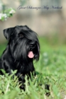 Image for Giant Schnauzer May Notebook Giant Schnauzer Record, Log, Diary, Special Memories, To Do List, Academic Notepad, Scrapbook &amp; More