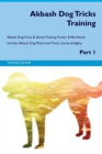 Image for Akbash Dog Tricks Training Akbash Dog Tricks &amp; Games Training Tracker &amp; Workbook. Includes
