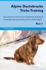 Image for Alpine Dachsbracke Tricks Training Alpine Dachsbracke Tricks &amp; Games Training Tracker &amp; Workbook. Includes