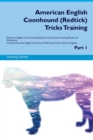 Image for American English Coonhound (Redtick) Tricks Training American English Coonhound (Redtick) Tricks &amp; Games Training Tracker &amp; Workbook. Includes