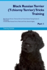 Image for Black Russian Terrier (Tchiorny Terrier) Tricks Training Black Russian Terrier (Tchiorny Terrier) Tricks &amp; Games Training Tracker &amp; Workbook. Includes