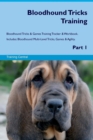 Image for Bloodhound Tricks Training Bloodhound Tricks &amp; Games Training Tracker &amp; Workbook. Includes