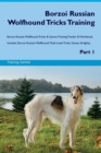 Image for Borzoi Russian Wolfhound Tricks Training Borzoi Russian Wolfhound Tricks &amp; Games Training Tracker &amp; Workbook. Includes : Borzoi Russian Wolfhound Multi-Level Tricks, Games &amp; Agility. Part 1