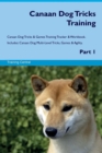 Image for Canaan Dog Tricks Training Canaan Dog Tricks &amp; Games Training Tracker &amp; Workbook. Includes : Canaan Dog Multi-Level Tricks, Games &amp; Agility. Part 1