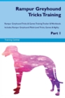 Image for Rampur Greyhound Tricks Training Rampur Greyhound Tricks &amp; Games Training Tracker &amp; Workbook. Includes : Rampur Greyhound Multi-Level Tricks, Games &amp; Agility. Part 1