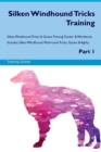 Image for Silken Windhound Tricks Training Silken Windhound Tricks &amp; Games Training Tracker &amp; Workbook. Includes : Silken Windhound Multi-Level Tricks, Games &amp; Agility. Part 1