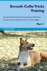 Image for Smooth Collie Tricks Training Smooth Collie Tricks &amp; Games Training Tracker &amp; Workbook. Includes : Smooth Collie Multi-Level Tricks, Games &amp; Agility. Part 1