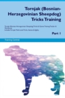 Image for Tornjak (Bosnian-Herzegovinian Sheepdog) Tricks Training Tornjak (Bosnian-Herzegovinian Sheepdog) Tricks &amp; Games Training Tracker &amp; Workbook. Includes