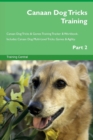 Image for Canaan Dog Tricks Training Canaan Dog Tricks &amp; Games Training Tracker &amp; Workbook. Includes
