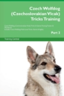 Image for Czech Wolfdog (Czechoslovakian Vlcak) Tricks Training Czech Wolfdog (Czechoslovakian Vlcak) Tricks &amp; Games Training Tracker &amp; Workbook. Includes : Czech Wolfdog Multi-Level Tricks, Games &amp; Agility. Pa