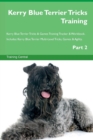 Image for Kerry Blue Terrier Tricks Training Kerry Blue Terrier Tricks &amp; Games Training Tracker &amp; Workbook. Includes : Kerry Blue Terrier Multi-Level Tricks, Games &amp; Agility. Part 2
