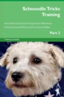 Image for Schnoodle Tricks Training Schnoodle Tricks &amp; Games Training Tracker &amp; Workbook. Includes