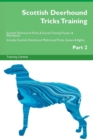 Image for Scottish Deerhound Tricks Training Scottish Deerhound Tricks &amp; Games Training Tracker &amp; Workbook. Includes