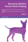 Image for American Hairless Terrier Tricks Training American Hairless Terrier Tricks &amp; Games Training Tracker &amp; Workbook. Includes