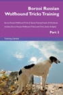 Image for Borzoi Russian Wolfhound Tricks Training Borzoi Russian Wolfhound Tricks &amp; Games Training Tracker &amp; Workbook. Includes : Borzoi Russian Wolfhound Multi-Level Tricks, Games &amp; Agility. Part 3
