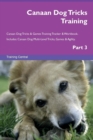 Image for Canaan Dog Tricks Training Canaan Dog Tricks &amp; Games Training Tracker &amp; Workbook. Includes