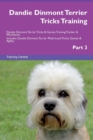 Image for Dandie Dinmont Terrier Tricks Training Dandie Dinmont Terrier Tricks &amp; Games Training Tracker &amp; Workbook. Includes