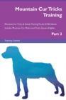 Image for Mountain Cur Tricks Training Mountain Cur Tricks &amp; Games Training Tracker &amp; Workbook. Includes : Mountain Cur Multi-Level Tricks, Games &amp; Agility. Part 3