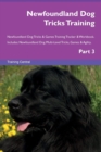 Image for Newfoundland Dog Tricks Training Newfoundland Dog Tricks &amp; Games Training Tracker &amp; Workbook. Includes : Newfoundland Dog Multi-Level Tricks, Games &amp; Agility. Part 3