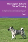 Image for Norwegian Buhund Tricks Training Norwegian Buhund Tricks &amp; Games Training Tracker &amp; Workbook. Includes : Norwegian Buhund Multi-Level Tricks, Games &amp; Agility. Part 3