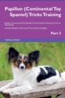 Image for Papillon (Continental Toy Spaniel) Tricks Training Papillon (Continental Toy Spaniel) Tricks &amp; Games Training Tracker &amp; Workbook. Includes