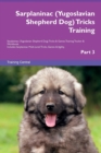 Image for Sarplaninac (Yugoslavian Shepherd Dog) Tricks Training Sarplaninac (Yugoslavian Shepherd Dog) Tricks &amp; Games Training Tracker &amp; Workbook. Includes