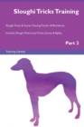 Image for Sloughi Tricks Training Sloughi Tricks &amp; Games Training Tracker &amp; Workbook. Includes : Sloughi Multi-Level Tricks, Games &amp; Agility. Part 3