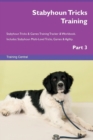 Image for Stabyhoun Tricks Training Stabyhoun Tricks &amp; Games Training Tracker &amp; Workbook. Includes : Stabyhoun Multi-Level Tricks, Games &amp; Agility. Part 3